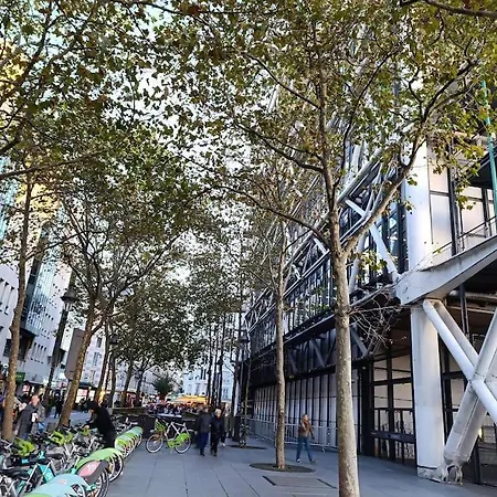 Flat 31m2 Near Pompidou Center, Marais, Les Halles, Mobility Lease Only *